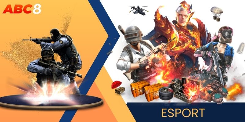 Tổng hợp top 4 sản phẩm ăn khách nhất tại Esport ABC8